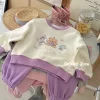 2024 spring Cotton  2-12 Years kids clothing wholesale 2 Piece Tracksuits comfortable boys clothing sets - 图片 2