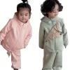 2024 spring fashion 2-12 Years kids clothing wholesale 2 Piece Tracksuits comfortable boys clothing sets
